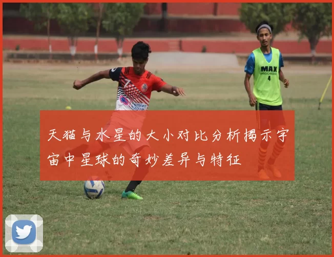 天猫与水星的大小对比分析揭示宇宙中星球的奇妙差异与特征